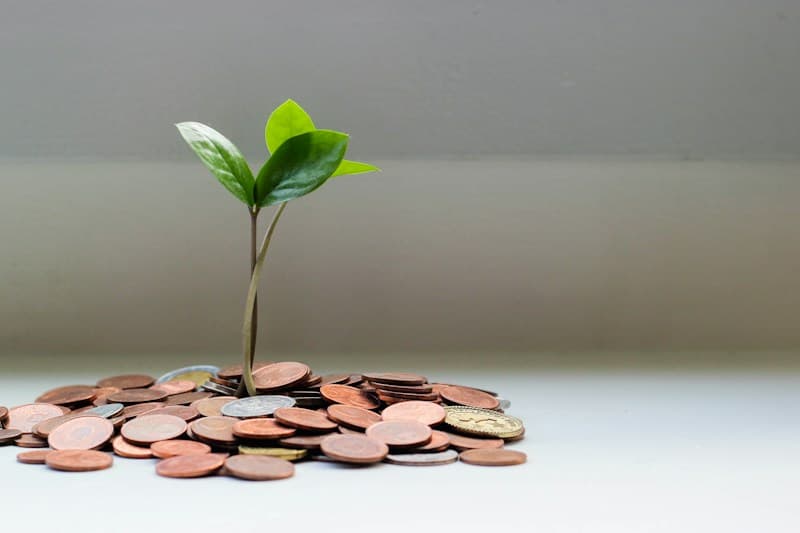 Asset Management, Fonds & Family Offices